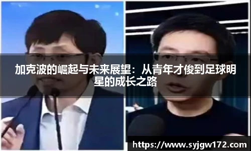 B体育官网