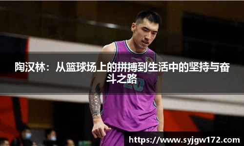 B体育bsports